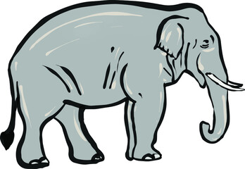 elephant cartoon art isolated vector illustration.