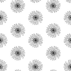 Seamless vector pattern of black line hand drawn chamomiles on white background