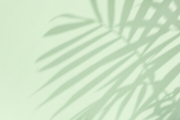 The shadow of the palm leaves on a pastel green background. Abstract texture. Background for advertising your product. Creative copy space.