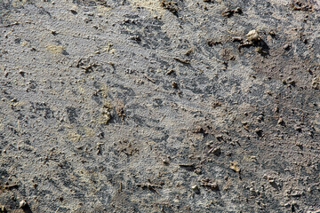 surface texture smeared with swamp illuminated by sunlight, close-up of dirty car in mud after off-road driving.