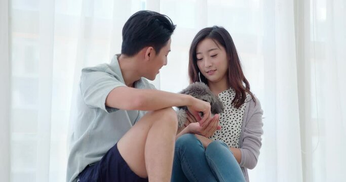 Happy young couple playing with dog in living room,4K