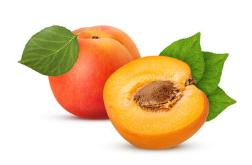 Fresh ripe apricot one cut in half whis bone and green leaf