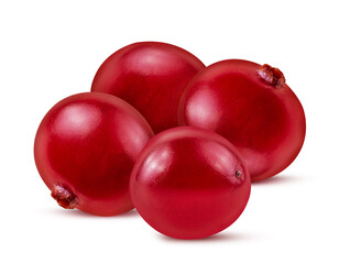 Bunch cranberry. Berry