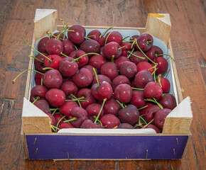 Red Cherries. Isolated. Copy Space. Seasonal summer  ready to eat cherries in wooden food crate. Stock image.