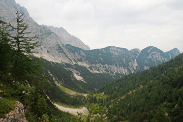Fototapeta na wymiar The Trenta Valley, Triglav National Park, Slovenia 