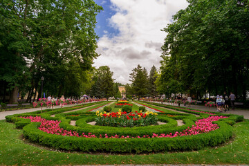 Inowrocław,  miasto, kwietne dywany, kwiaty, 