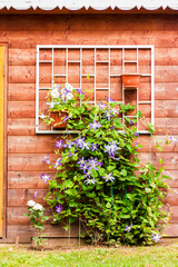 Weaving flowers adorn the wooden wall. using the natural landscape and ecology as a background.