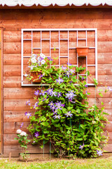 Weaving flowers adorn the wooden wall. using the natural landscape and ecology as a background.