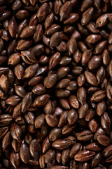 Malted grain close up. Mixed varieties of malted grain on a gray background. close-up. top view. flat lay. series of photos. space. High quality photo