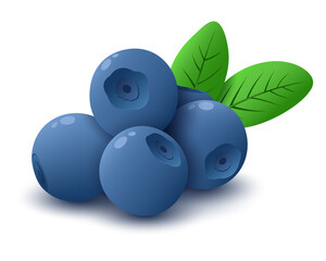 Blueberry berries with green leaves. Healthy natural food. Isolated on white background. Vector illustration