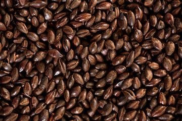 Malted grain close up. Mixed varieties of malted grain on a gray background. close-up. top view. flat lay. series of photos. space. High quality photo