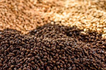 Malted grain close up. Mixed varieties of malted grain on a gray background. close-up. top view. flat lay. series of photos. space. High quality photo