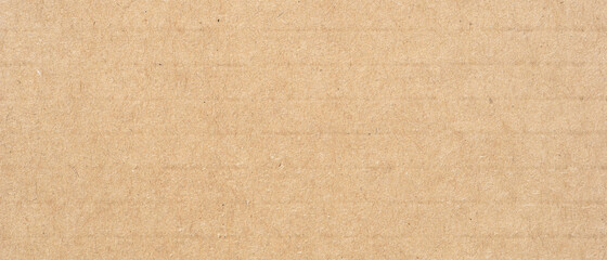 Fototapeta na wymiar paper texture background, real cardboard pattern