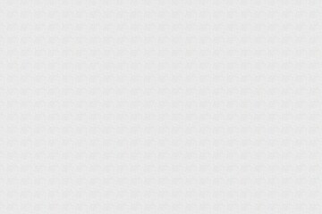 White Canvas Texture