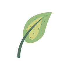 leaf green with branch