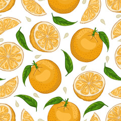 Seamless vector pattern of colorful hand drawn oranges on white background. Design for organic or natural products packaging