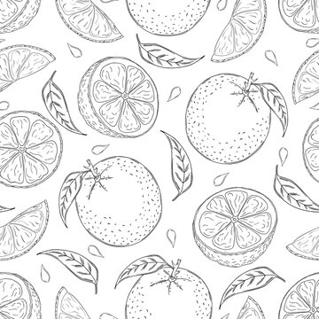 Seamless vector pattern of black line hand drawn lemons on white background. Design for organic or natural products packaging