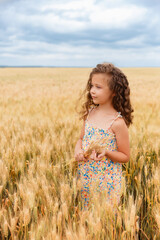 A young girl walking in a wheat field