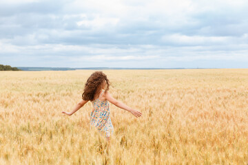 Naklejka na ściany i meble A young girl walking in a wheat field
