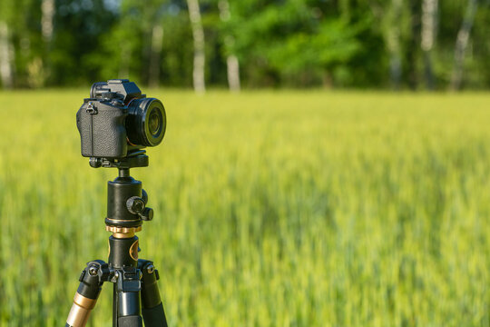 A camera with a lens on a tripod, ready for taking photos or videos in nature. Photographing and filming of landscapes, wildlife.