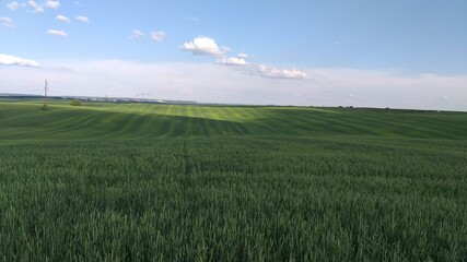 Fototapeta premium Landspae2