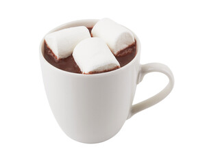 Cup of hot cocoa