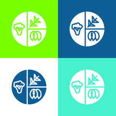 Balanced Diet Flat four color minimal icon set