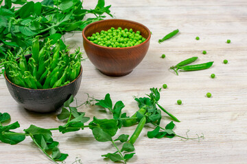 Two bowls of fresh young green peas in stitches and peeled against a background of leaf shoots, sprigs of young green peas on a white wooden table.