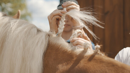 Close-up view of girls hands braiding blonde mane of a Palomino horse. Beautiful light brown horse mane being done in a braid. Sunlight hitting the horse coat. Preparing the horse for the competition