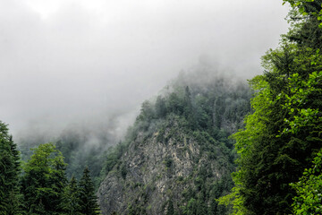 Foggy weather in the mountains