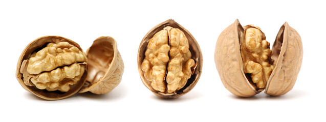 walnuts on a white background