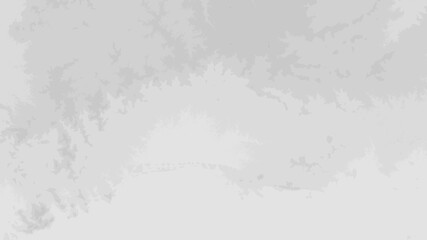 Fototapeta premium White Gray Wallpaper/Background