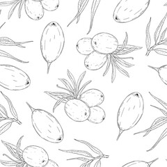 Seamless vector pattern of black line hand drawn sea buckthorn berries on white background. Design for herbal tea or natural products packaging 