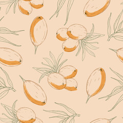 Seamless vector pattern of hand drawn sea buckthorn berries on light peach color. Design for herbal tea or natural products packaging 