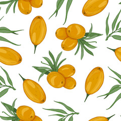 Seamless vector pattern of hand drawn sea buckthorn berries on white background. Design for herbal tea or natural products packaging 