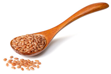 raw short-grain brown rice in the wooden spoon, isolated on white background
