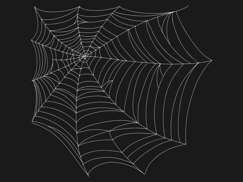 Beautiful spider web. Halloween decor. Decoration for the holiday. Vector illustration isolated on background.