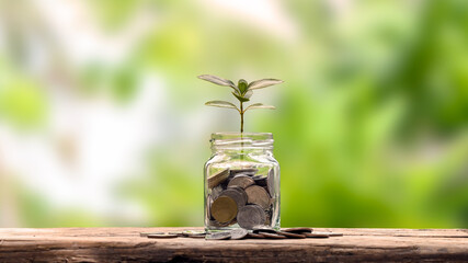 Financial Planning and Retirement Ideas Planting a bottle tree to save money on a wooden table and blurred natural green background