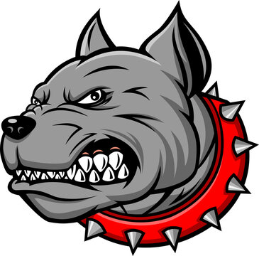 bulldog head mascot
