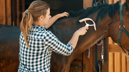 Horsewoman cleaning her dark bay horse in the stable. Holding a scraper in her hands gently...