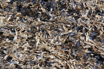 Pattern of old leaves and rocks.
