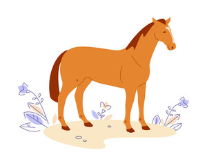 Horse in the meadow. Vector illustration in flat cartoon style. Isolated on a white background.