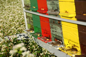 Red apiary on the field.