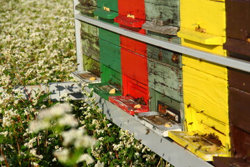 Red apiary on the field.