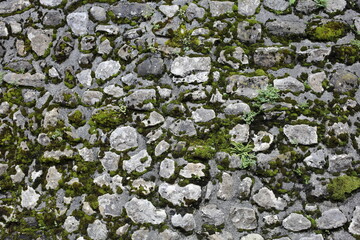 Mur de pierres avec mousse