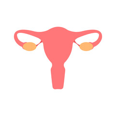 Uterus flat illustration. Fertility, human anatomy, Female reproductive system. Cervix, ovary, fallopian tube icon.
Can be used for topics like science, biolody, medicince
