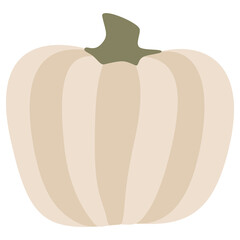 White Pumpkin Vector illustration. Gourd For Thanksgiving Day or Halloween design. Isolated on white background