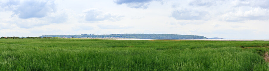 Fototapeta na wymiar Salt marsh coastal wetland, Weston-Super-Mare, UK. Panoramic landscape