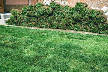 Rolls of fresh green lawn lies near the lawn. Delivery of the finished lawn rolls. A large stack of freshly grown lawn before laying on the site.