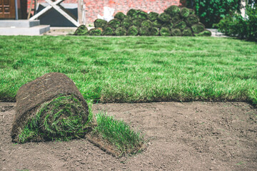 A roll of fresh green grass lies near the lawn on the ground. Delivery and laying of finished lawn rolls. Creating a beautiful green lawn from grass.